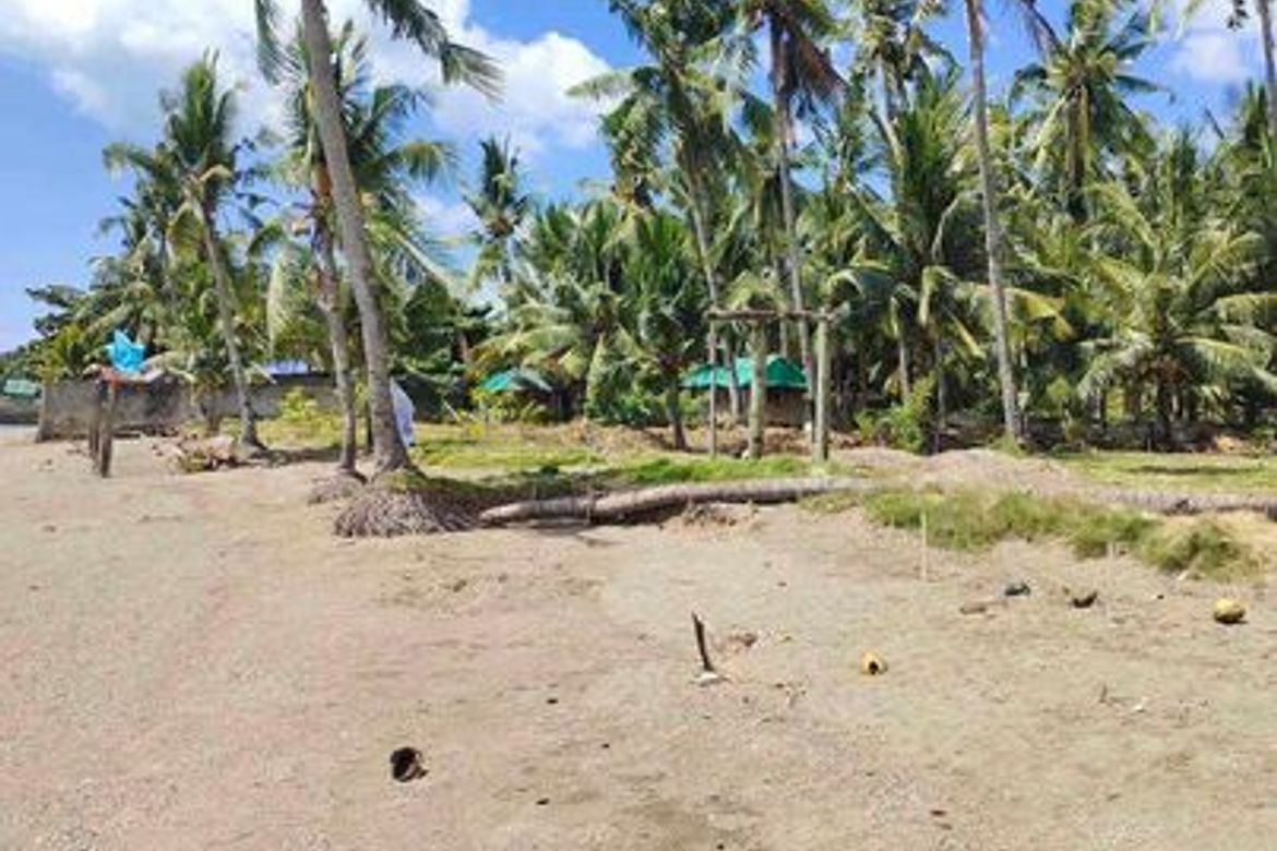 Land for Sale in Ampongol, Sogod, Cebu – photo 6