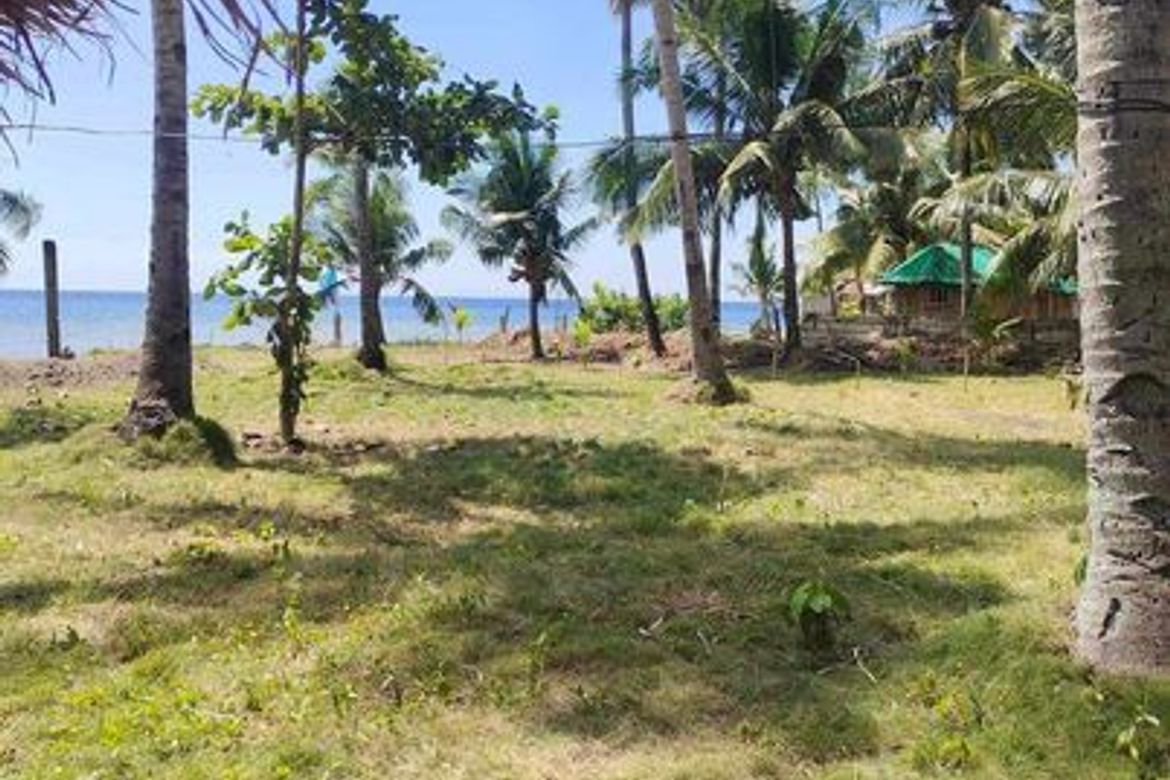 Land for Sale in Ampongol, Sogod, Cebu – photo 7