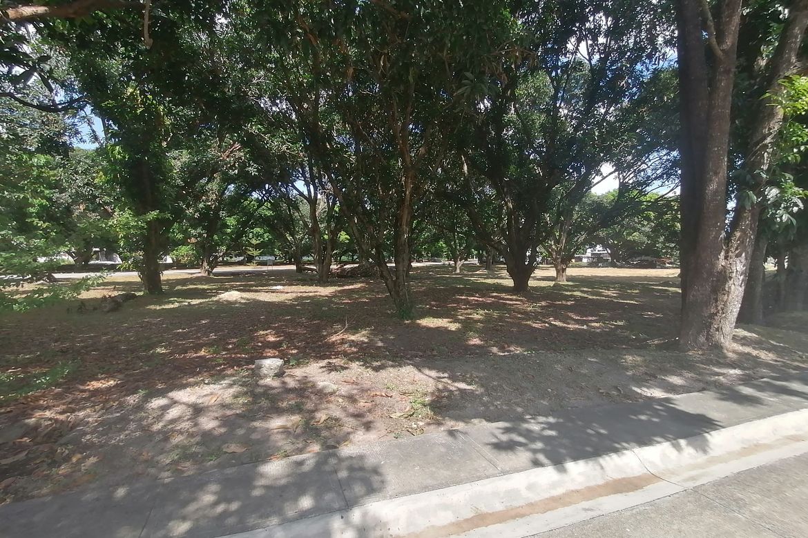 Land for Sale in Amsic, Angeles, Pampanga – photo 4