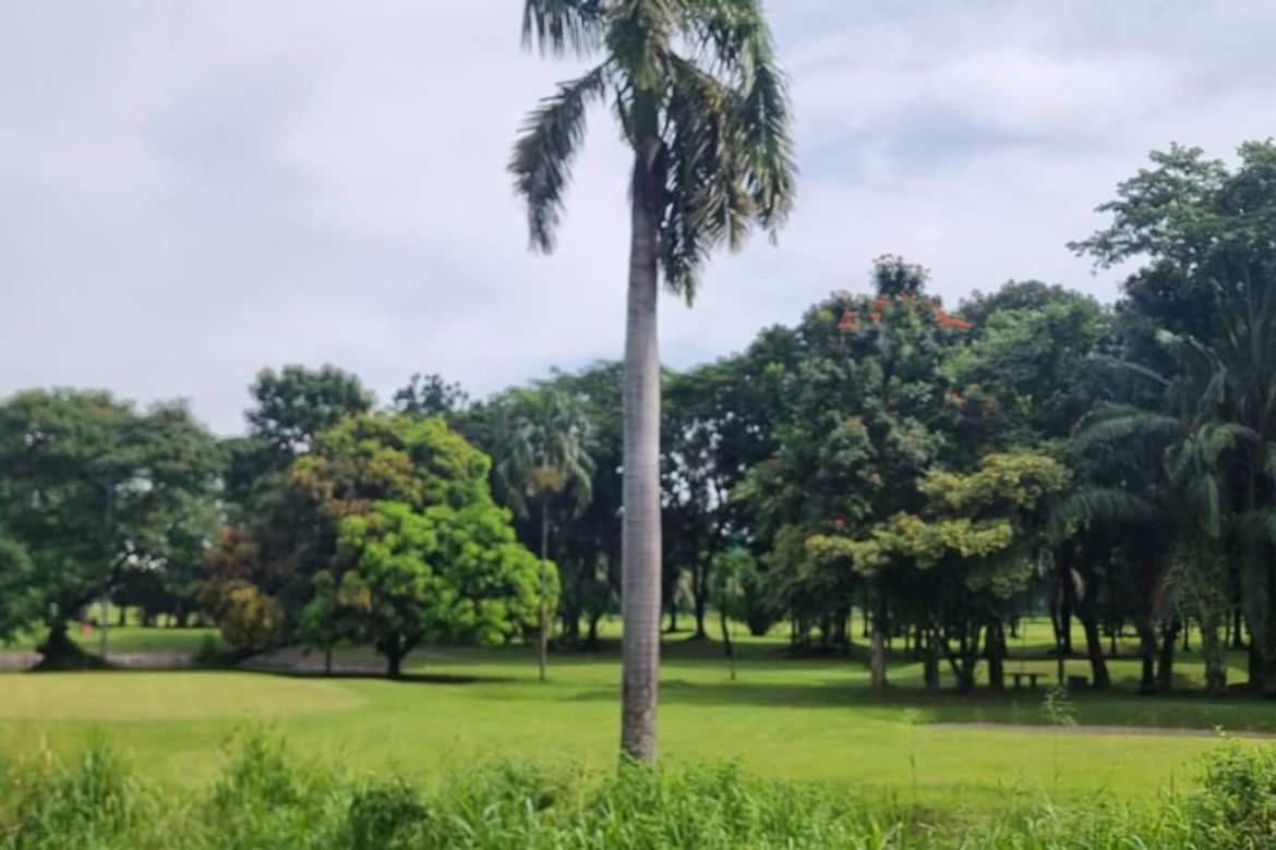 Land for Sale in Amsic, Angeles, Pampanga – photo 4
