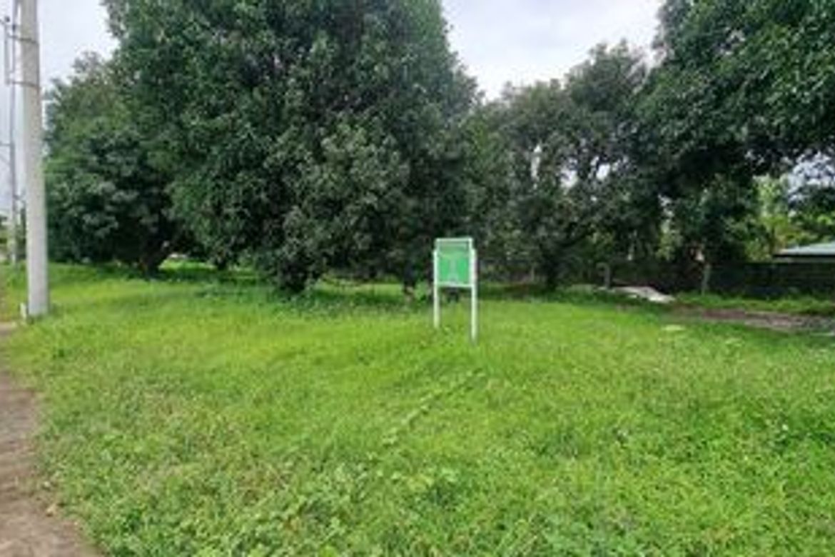 Land for Sale in Amsic, Angeles, Pampanga
