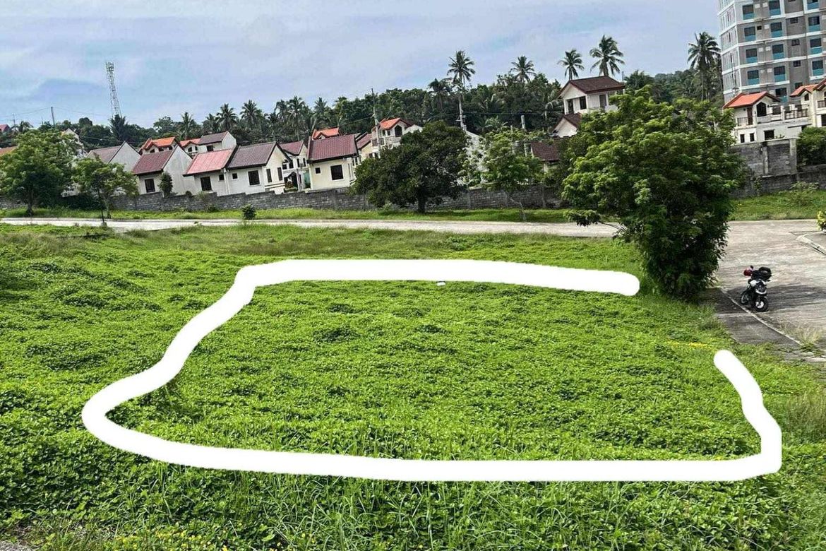 Land for Sale in Amuyong, Alfonso, Cavite – photo 2
