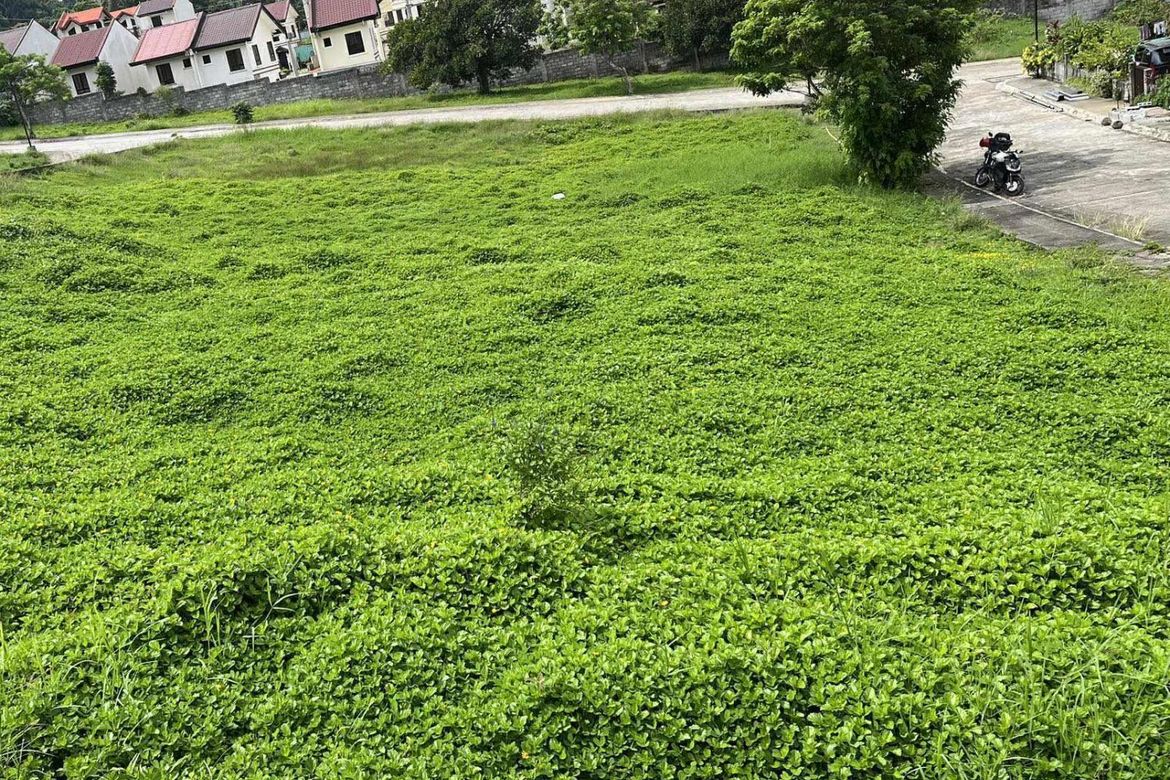 Land for Sale in Amuyong, Alfonso, Cavite – photo 3