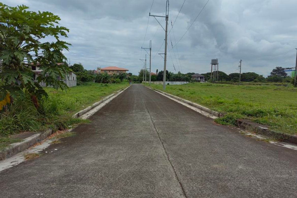 Land for Sale in Anabu II-D, Imus, Cavite – photo 7
