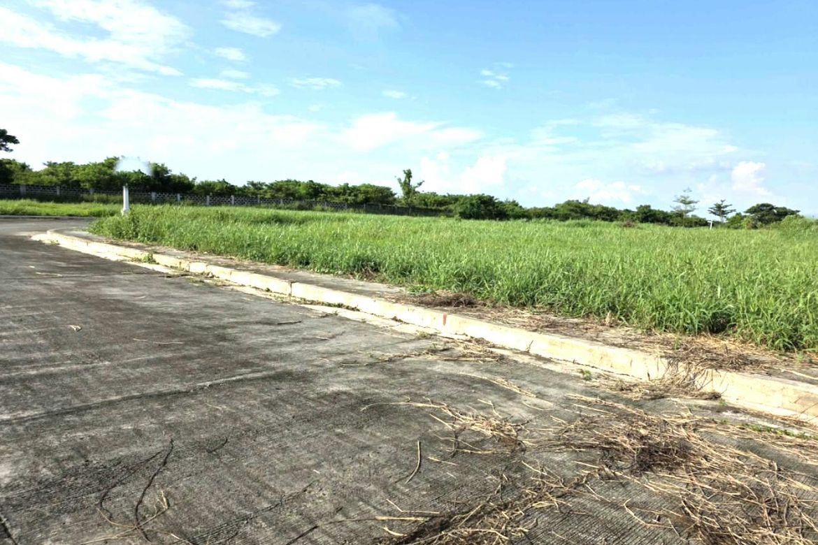 Land for Sale in Anabu II-F, Imus, Cavite – photo 2