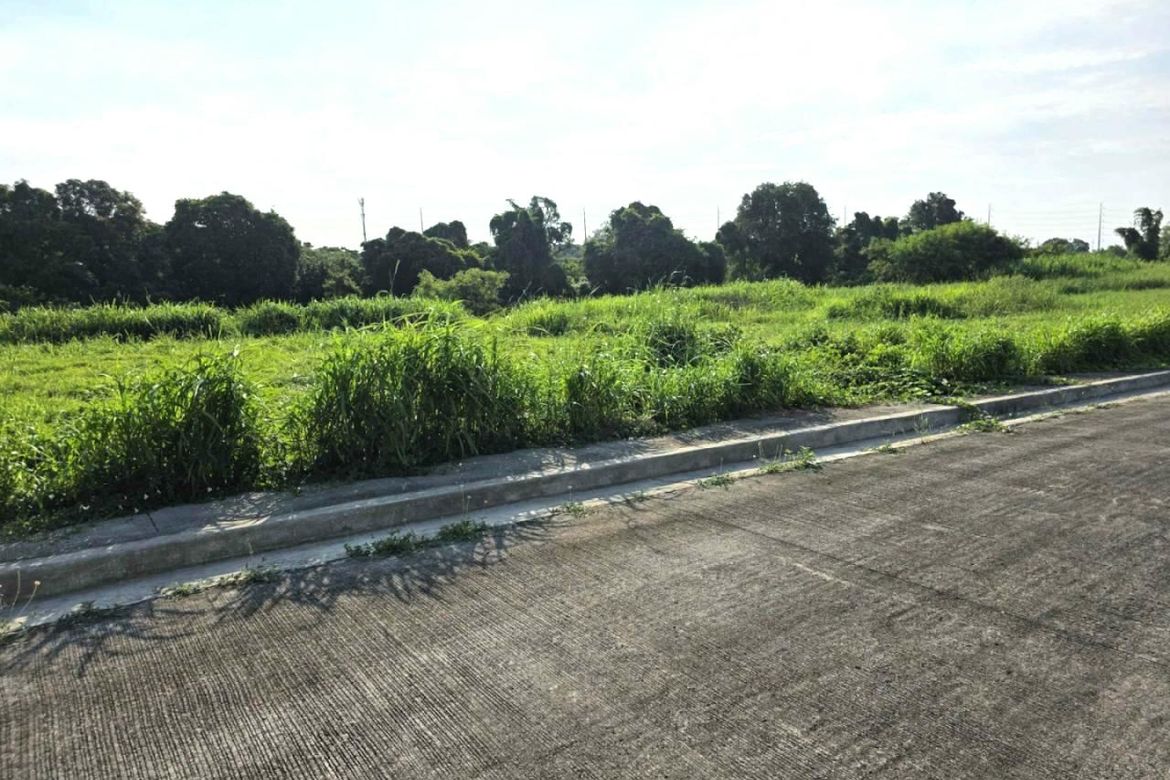 Land for Sale in Anabu II-F, Imus, Cavite – photo 3