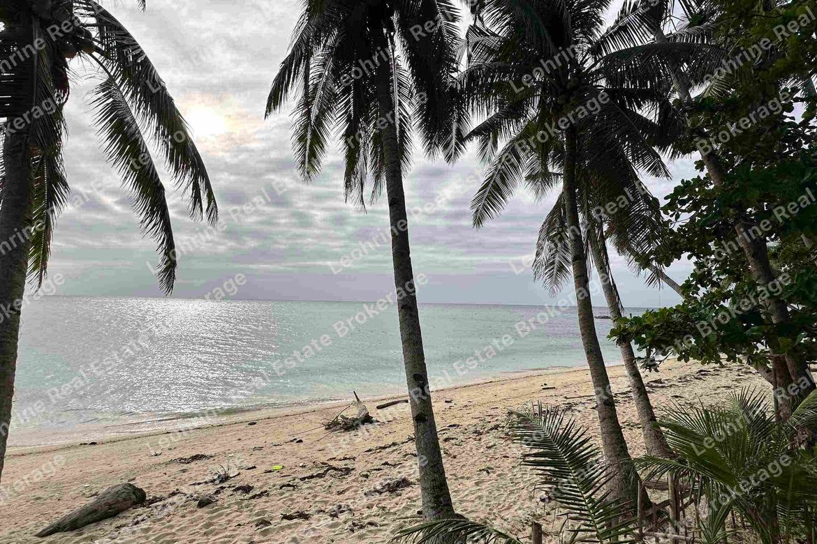 Land for Sale in Anapog, San Remigio, Cebu – photo 3