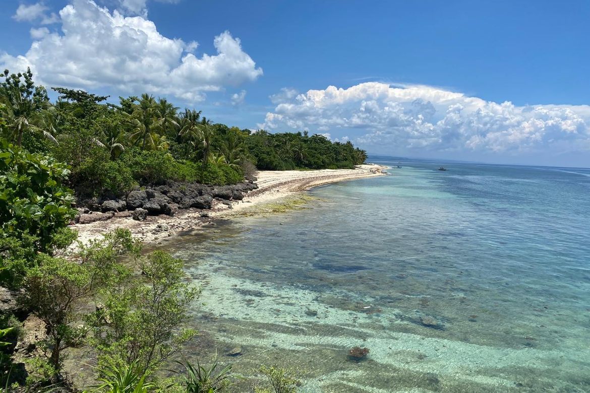 Land for Sale in Anapog, San Remigio, Cebu