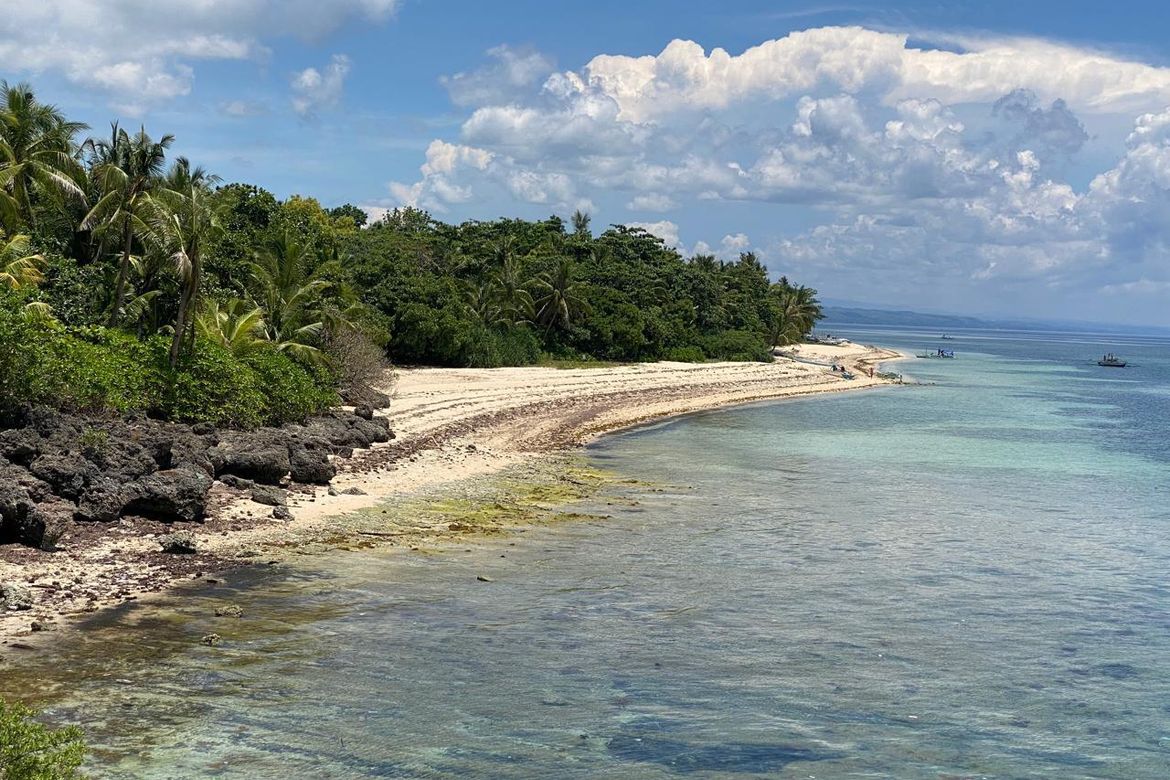 Land for Sale in Anapog, San Remigio, Cebu – photo 3