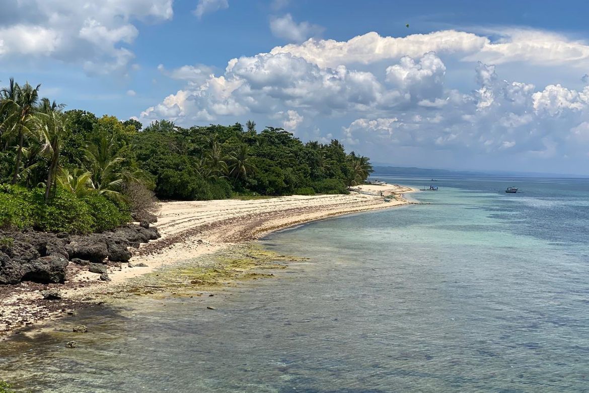 Land for Sale in Anapog, San Remigio, Cebu – photo 7