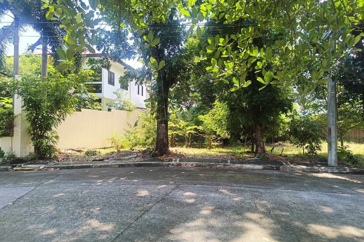 Land for Sale in Aniban V, Bacoor, Cavite – photo 4