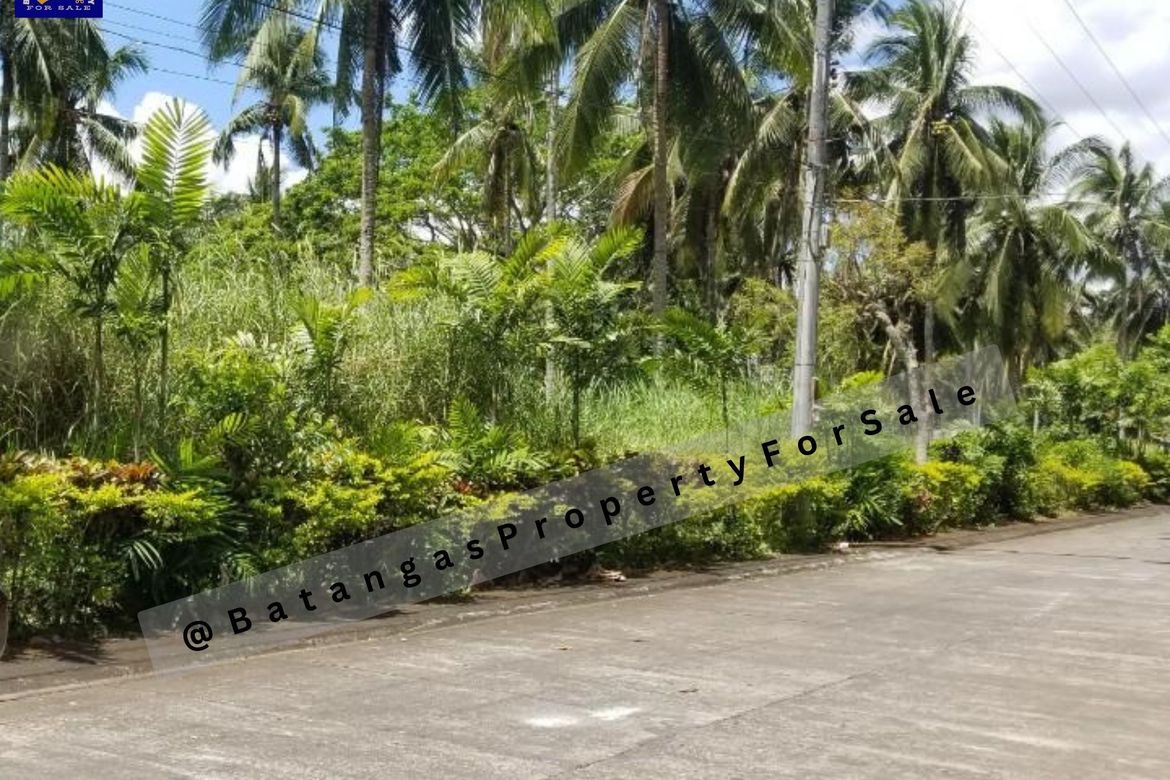 Land for Sale in Anilao, Lipa, Batangas – photo 3