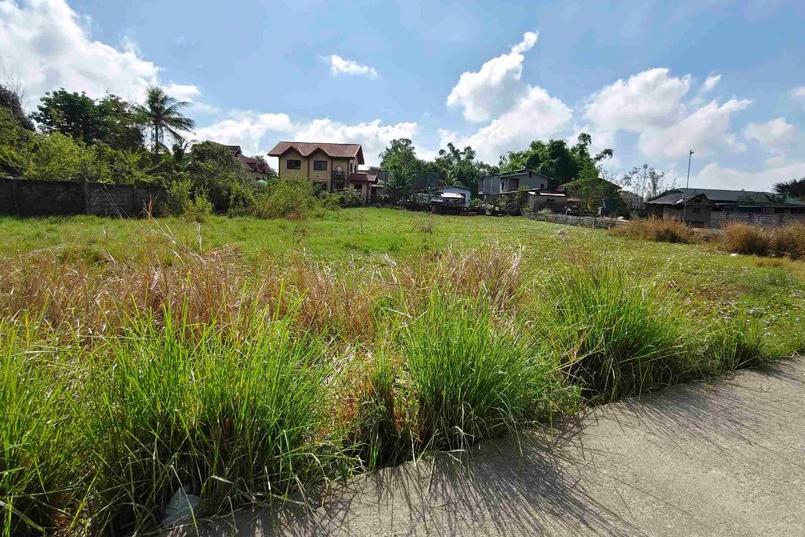 Land for Sale in Anolid, Mangaldan, Pangasinan