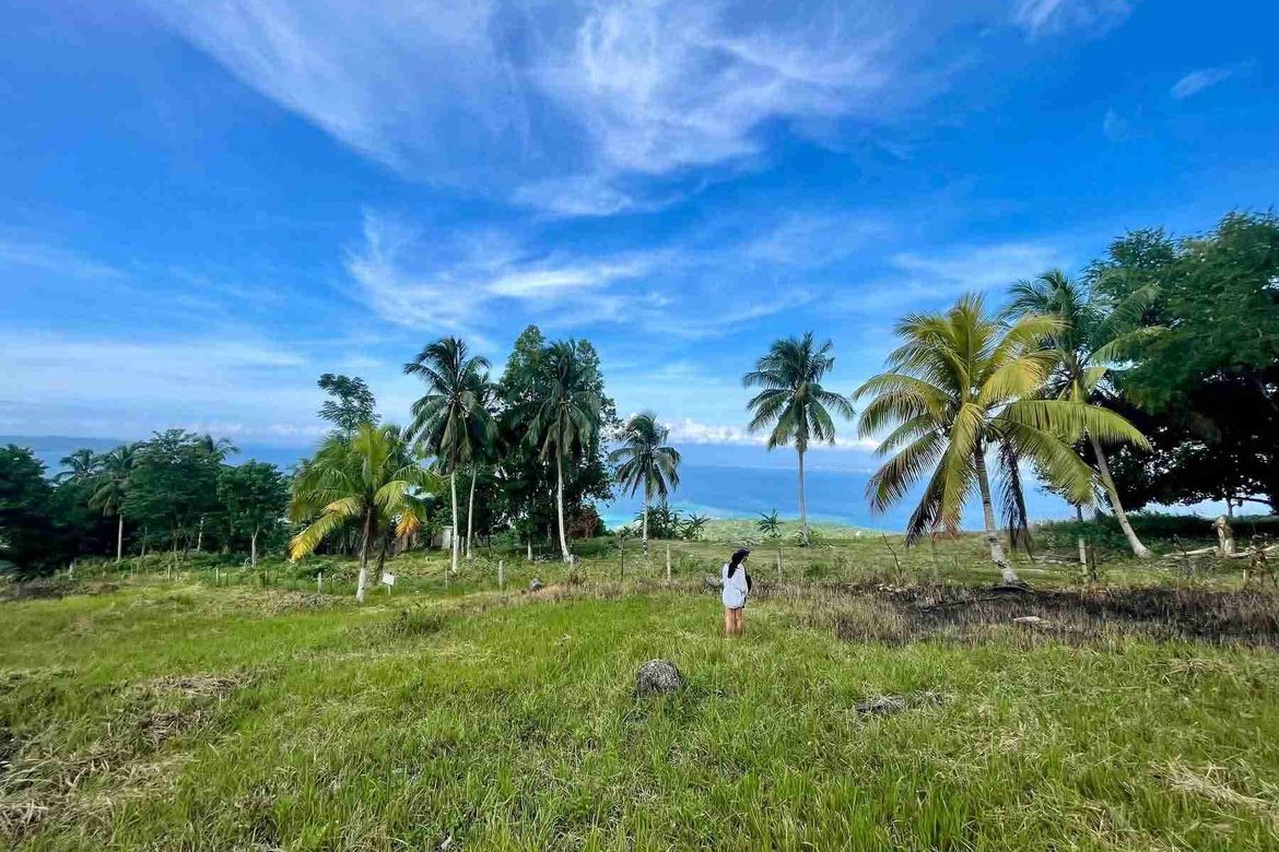 Land for Sale in Anonang, Samal, Davao del Norte – photo 4