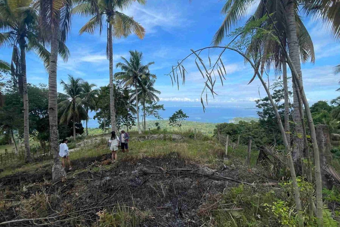 Land for Sale in Anonang, Samal, Davao del Norte – photo 5