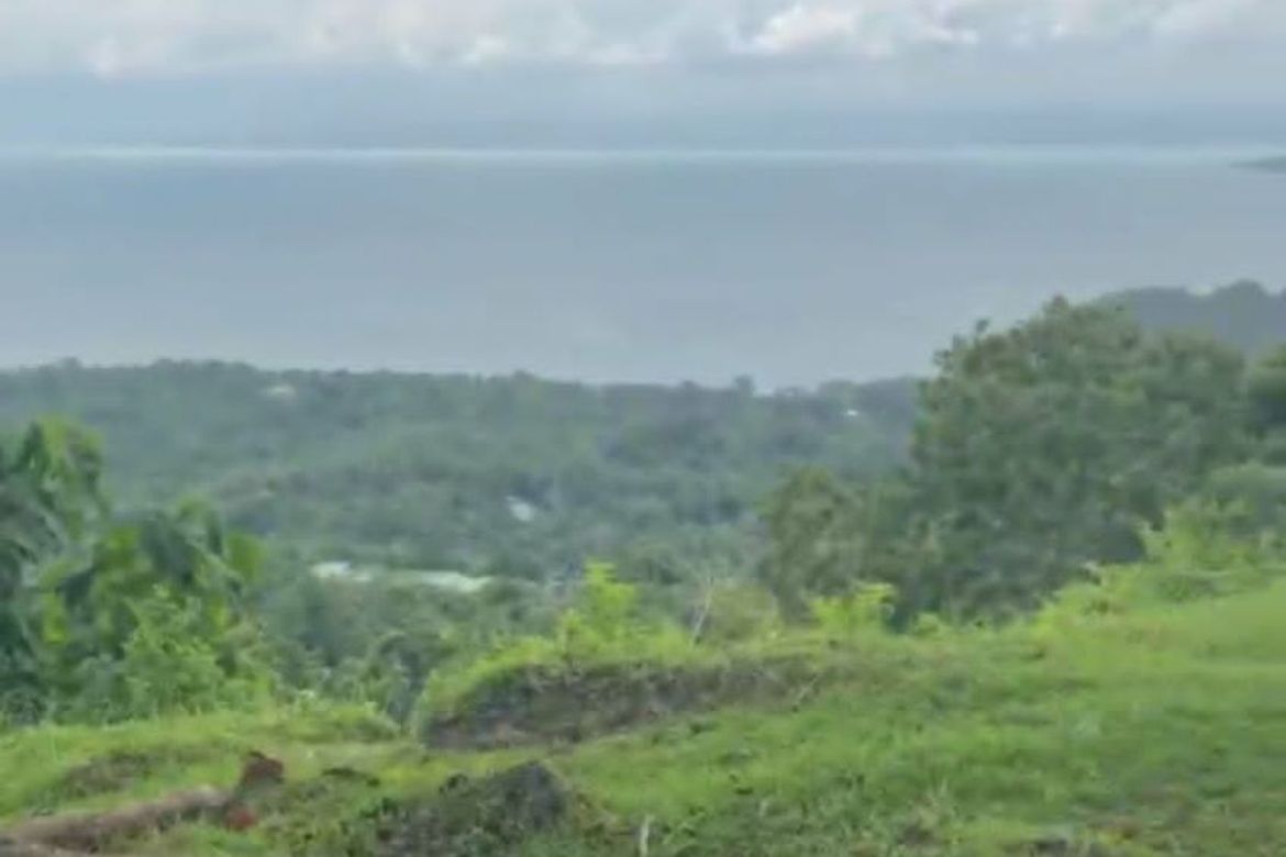 Land for Sale in Anonang, Samal, Davao del Norte – photo 2