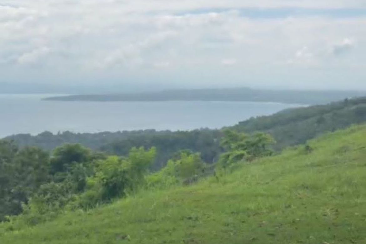 Land for Sale in Anonang, Samal, Davao del Norte – photo 4