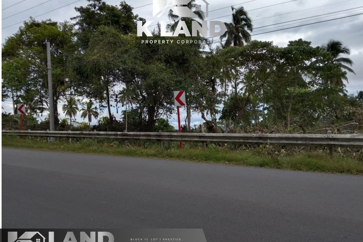 Land for Sale in Anonang, Samal, Davao del Norte – photo 3