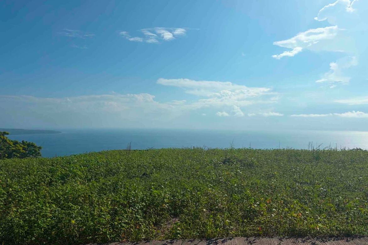 Land for Sale in Anonang, Samal, Davao del Norte – photo 4