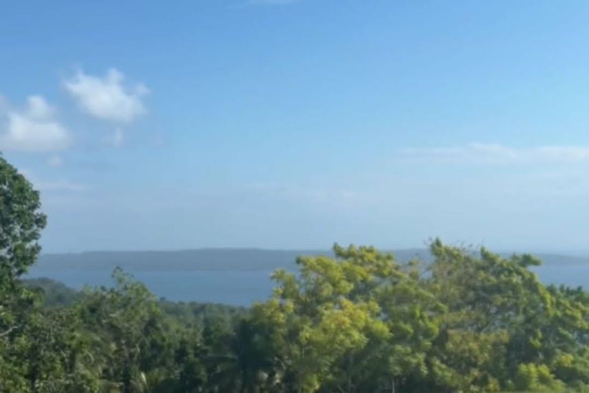 Land for Sale in Anonang, Samal, Davao del Norte – photo 5