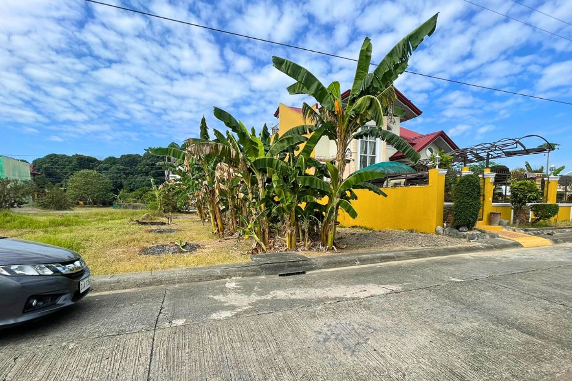 Land for Sale in Anonas, Urdaneta, Pangasinan – photo 2