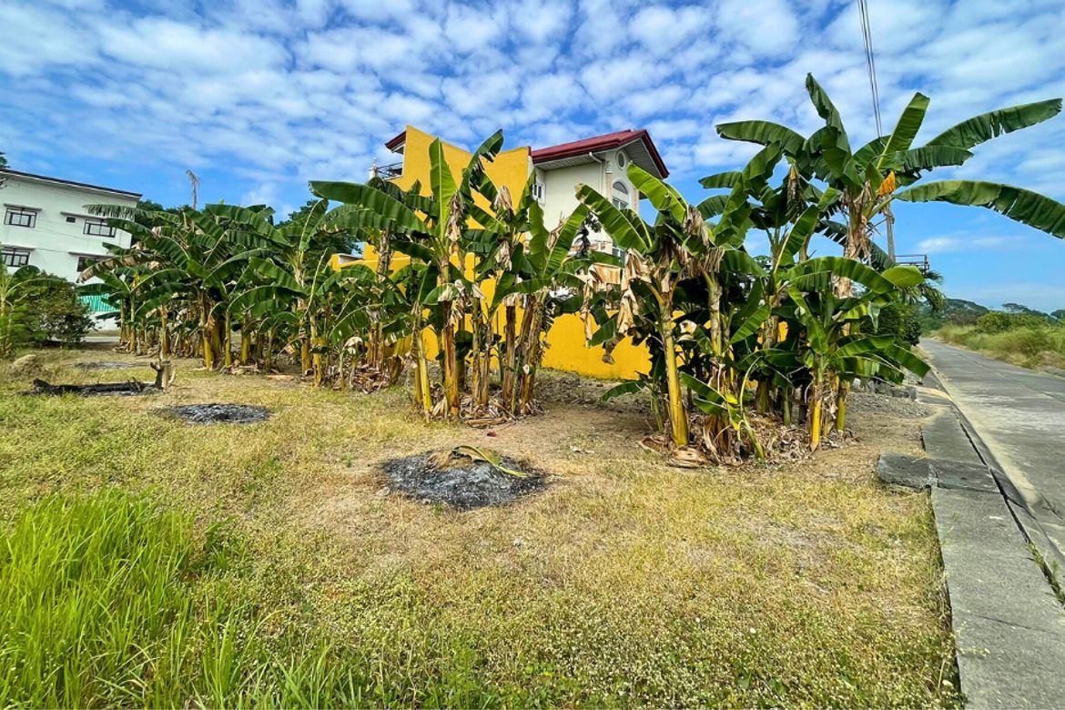 Land for Sale in Anonas, Urdaneta, Pangasinan – photo 3