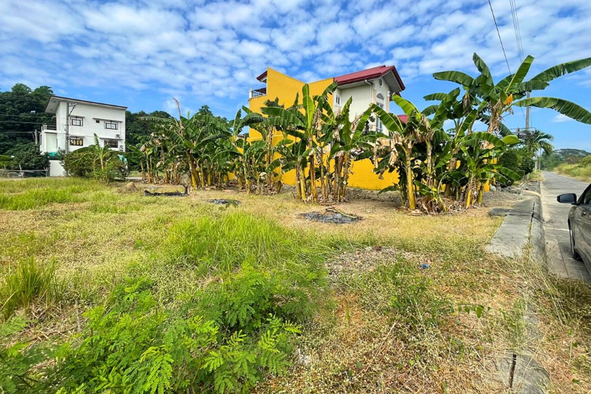Land for Sale in Anonas, Urdaneta, Pangasinan – photo 4