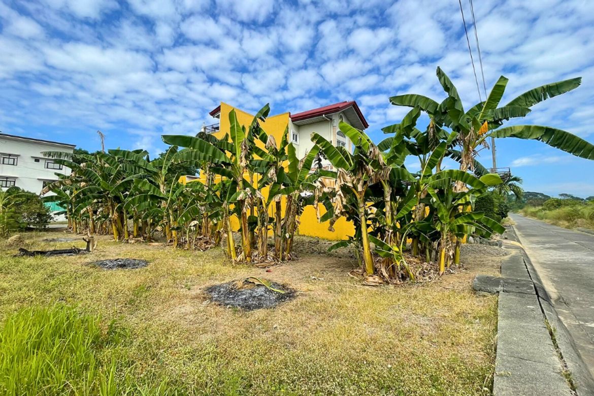 Land for Sale in Anonas, Urdaneta, Pangasinan – photo 5