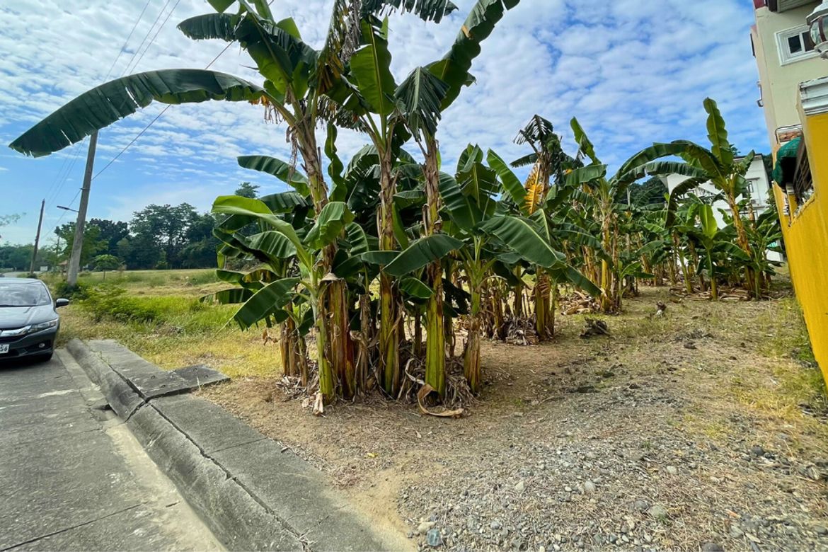 Land for Sale in Anonas, Urdaneta, Pangasinan – photo 6