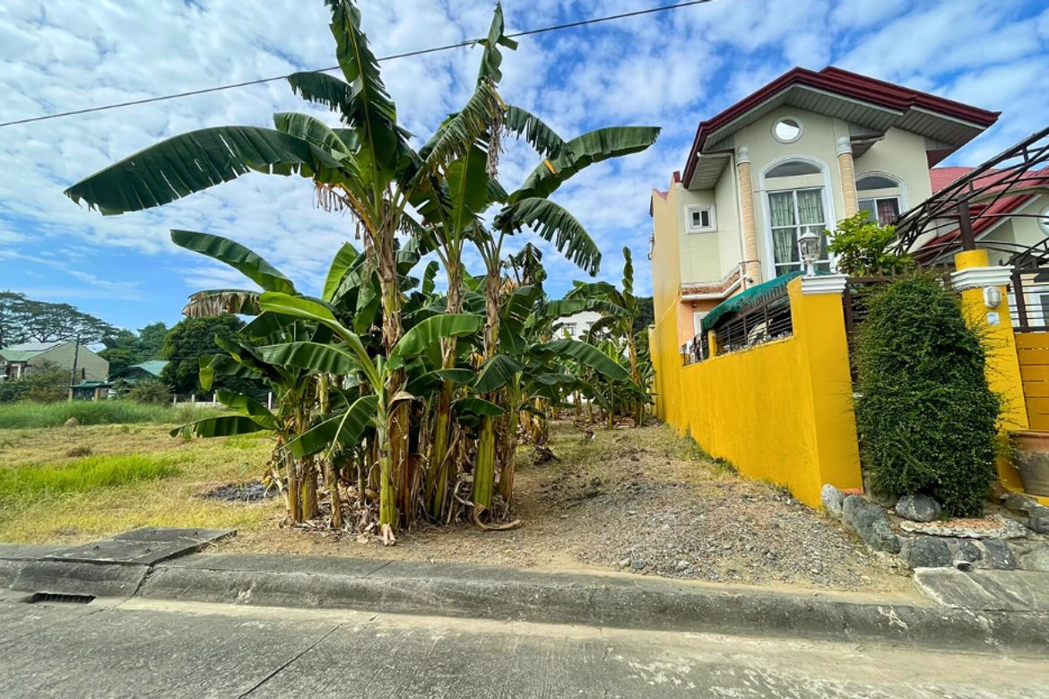 Land for Sale in Anonas, Urdaneta, Pangasinan – photo 7