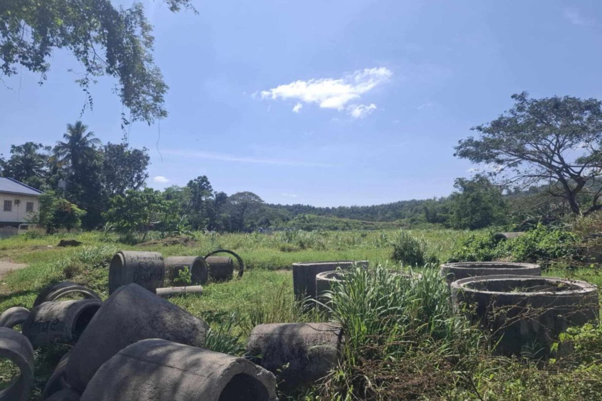 Land for Sale in Antipolo del Sur, Lipa, Batangas – photo 3