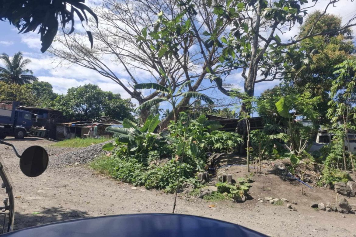 Land for Sale in Antipolo del Sur, Lipa, Batangas – photo 4