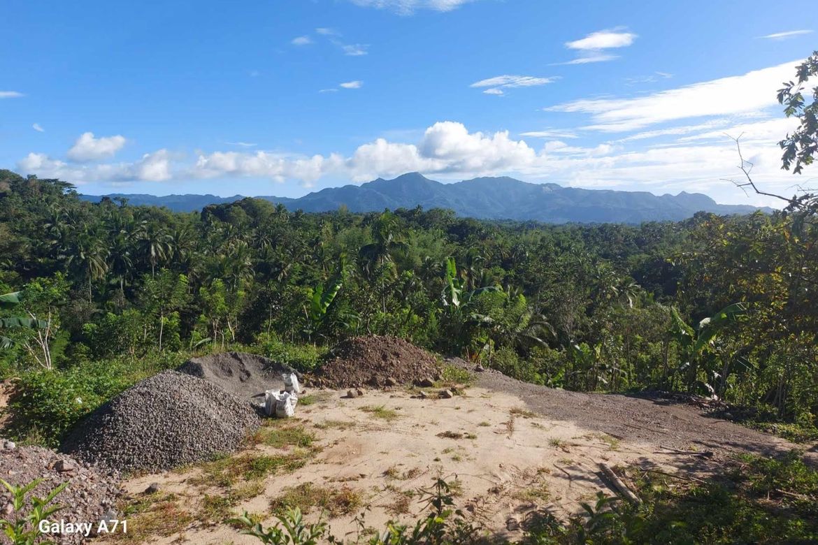 Land for Sale in Antipolo, Rosario, Batangas