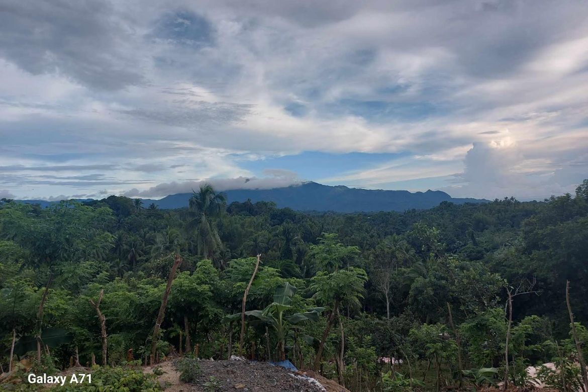 Land for Sale in Antipolo, Rosario, Batangas – photo 2