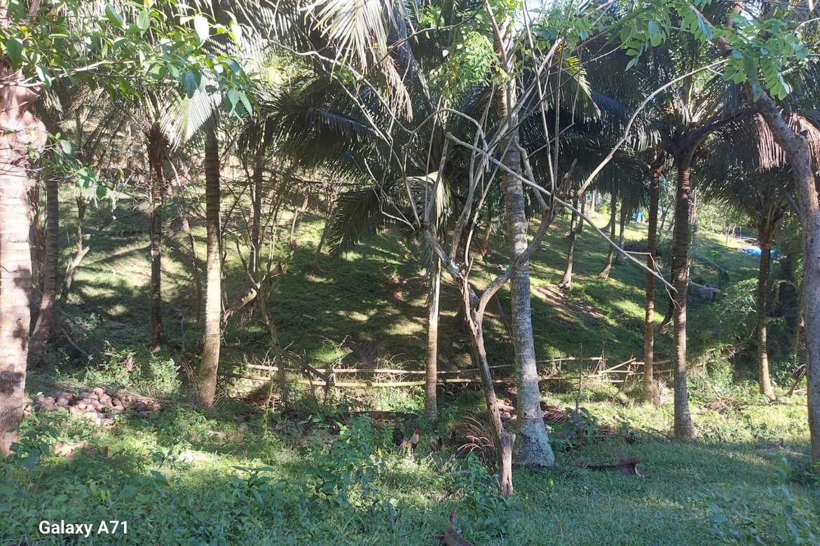 Land for Sale in Antipolo, Rosario, Batangas – photo 3