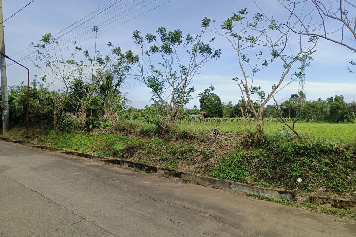 Land for Sale in Anuling Lejos I, Mendez, Cavite