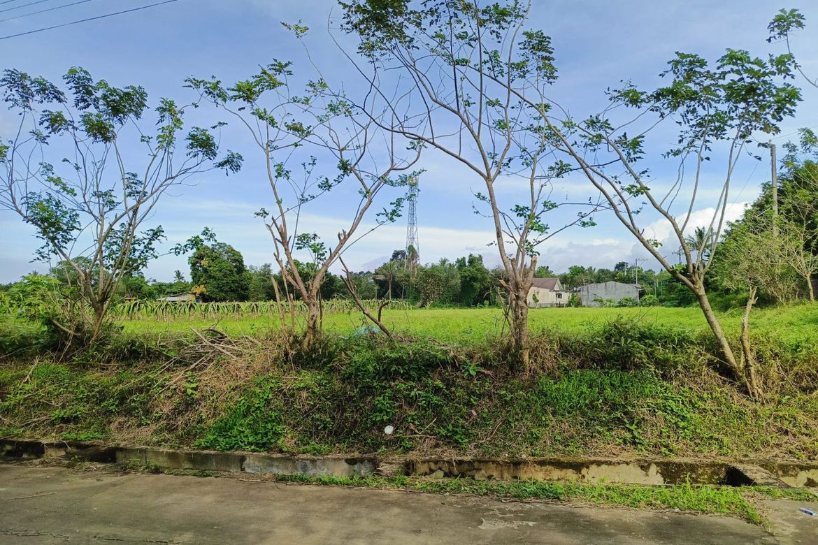 Land for Sale in Anuling Lejos I, Mendez, Cavite – photo 2