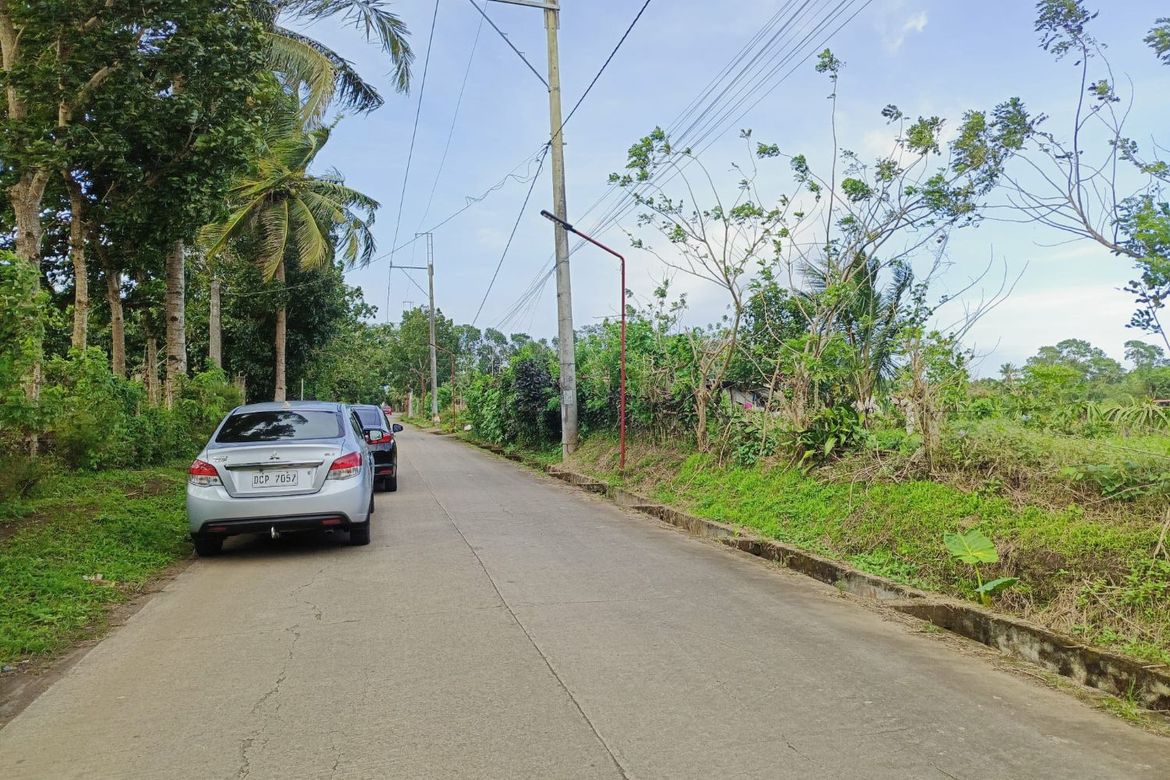 Land for Sale in Anuling Lejos I, Mendez, Cavite – photo 3