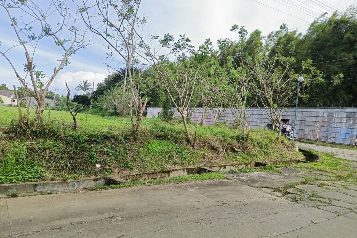Land for Sale in Anuling Lejos I, Mendez, Cavite – photo 4