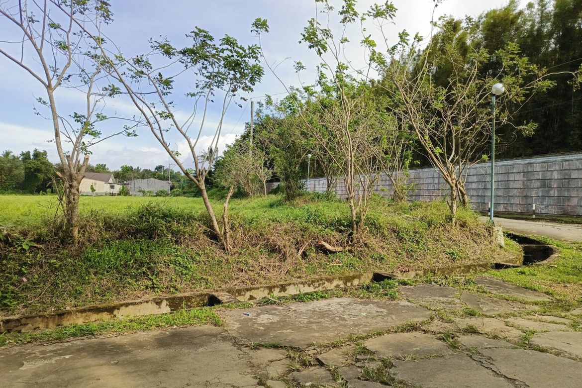 Land for Sale in Anuling Lejos I, Mendez, Cavite – photo 5