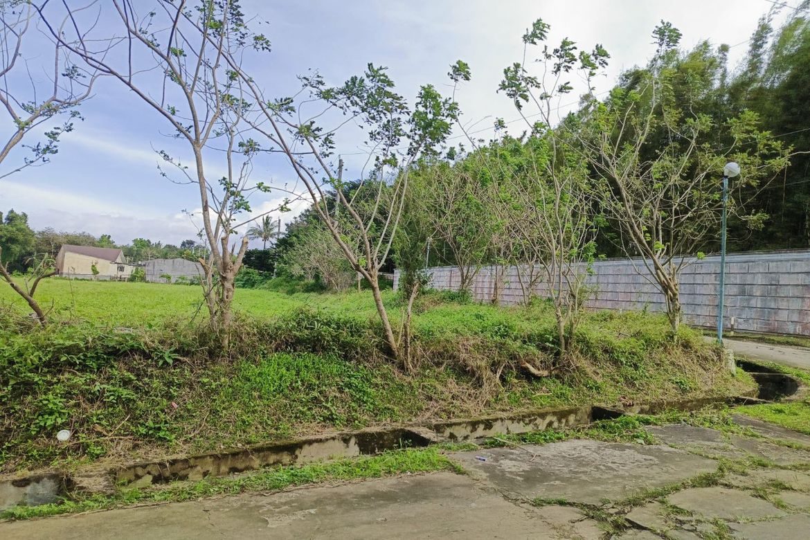 Land for Sale in Anuling Lejos I, Mendez, Cavite – photo 6