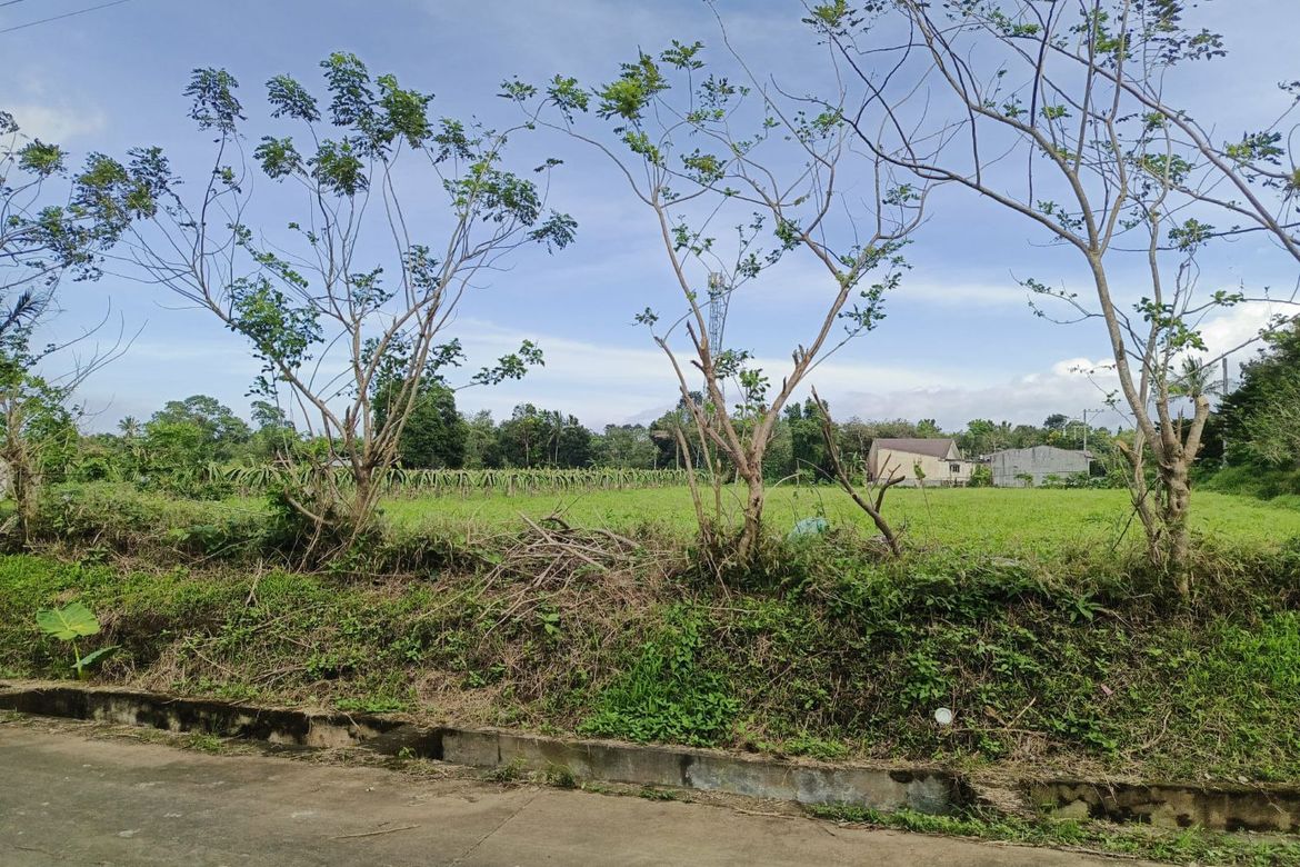 Land for Sale in Anuling Lejos I, Mendez, Cavite – photo 7
