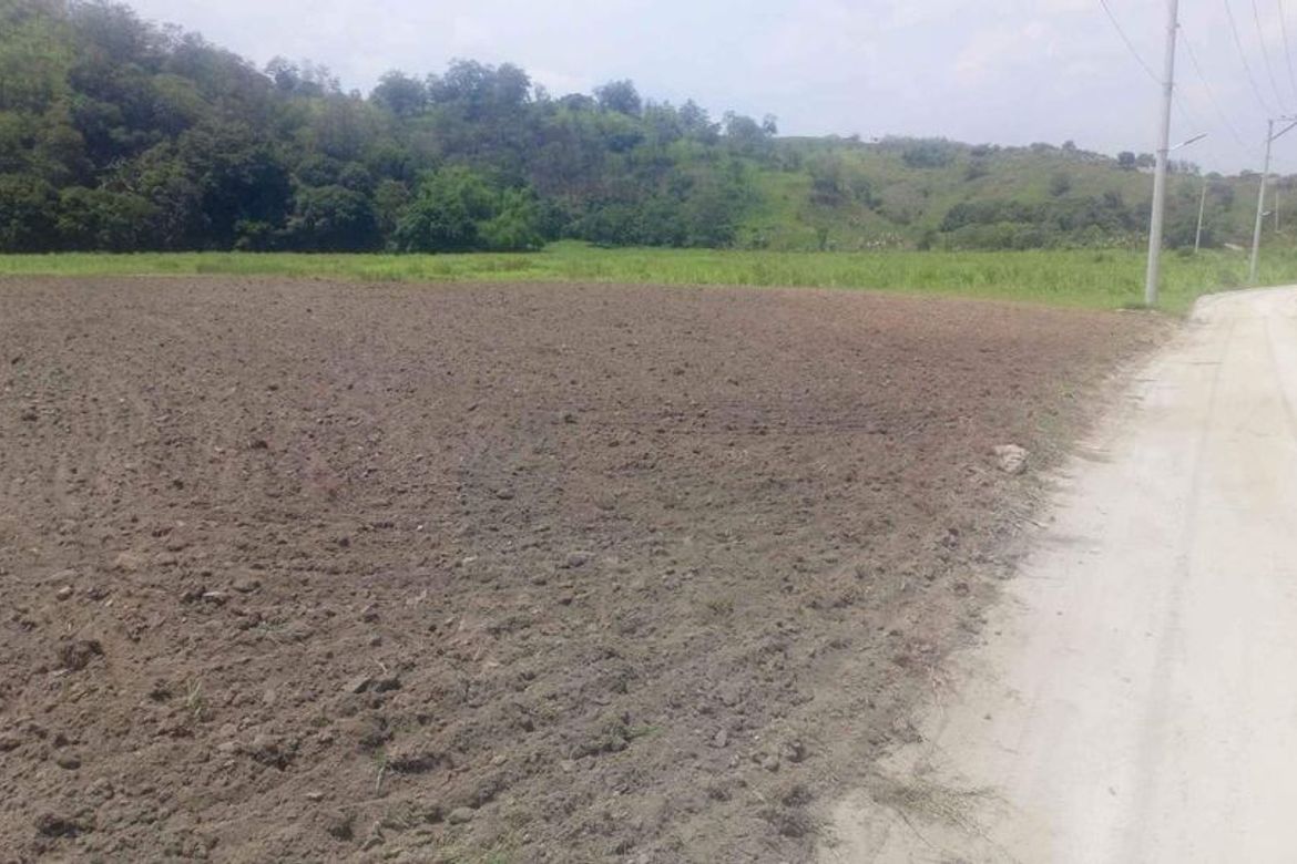 Land for Sale in Anupul, Bamban, Tarlac – photo 3