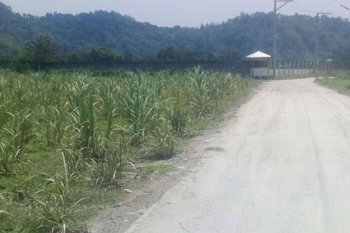Land for Sale in Anupul, Bamban, Tarlac – photo 6