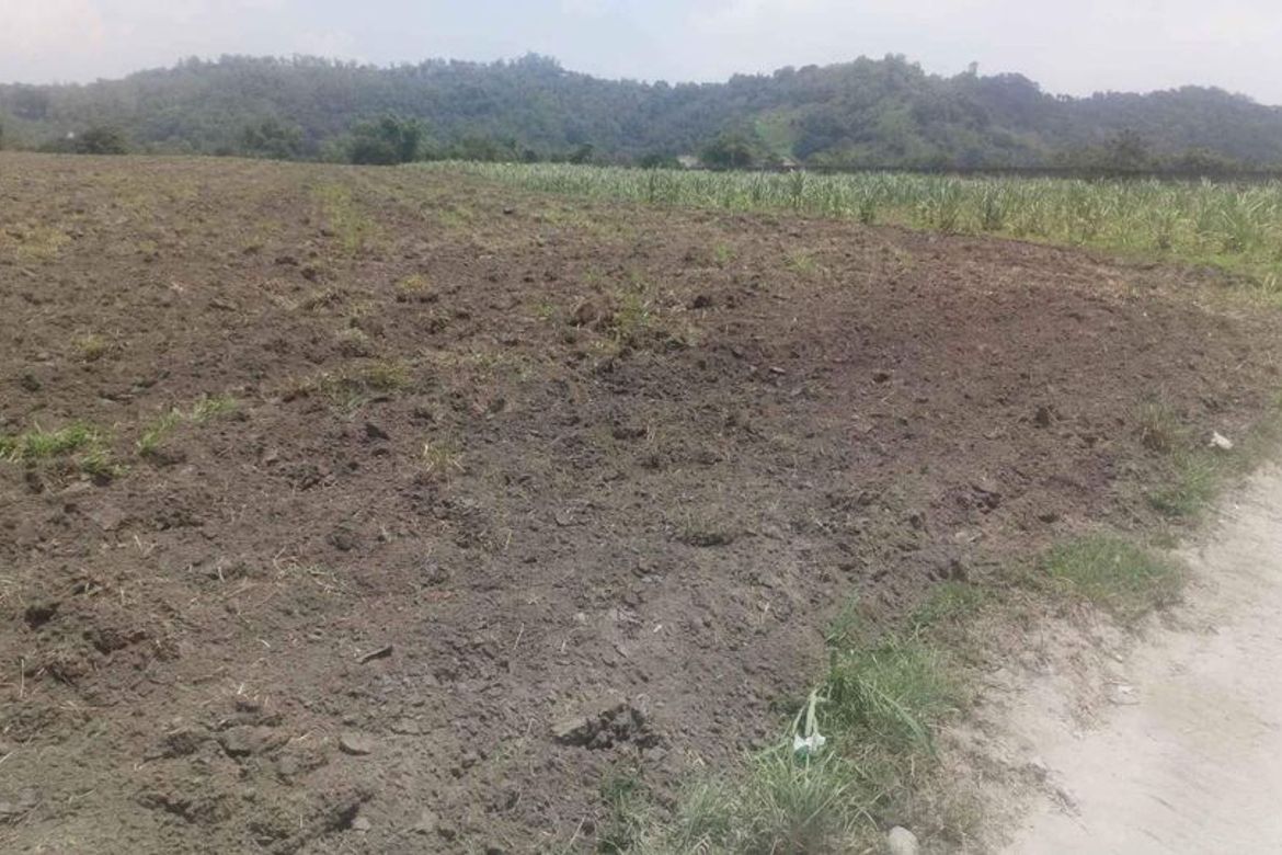 Land for Sale in Anupul, Bamban, Tarlac – photo 7