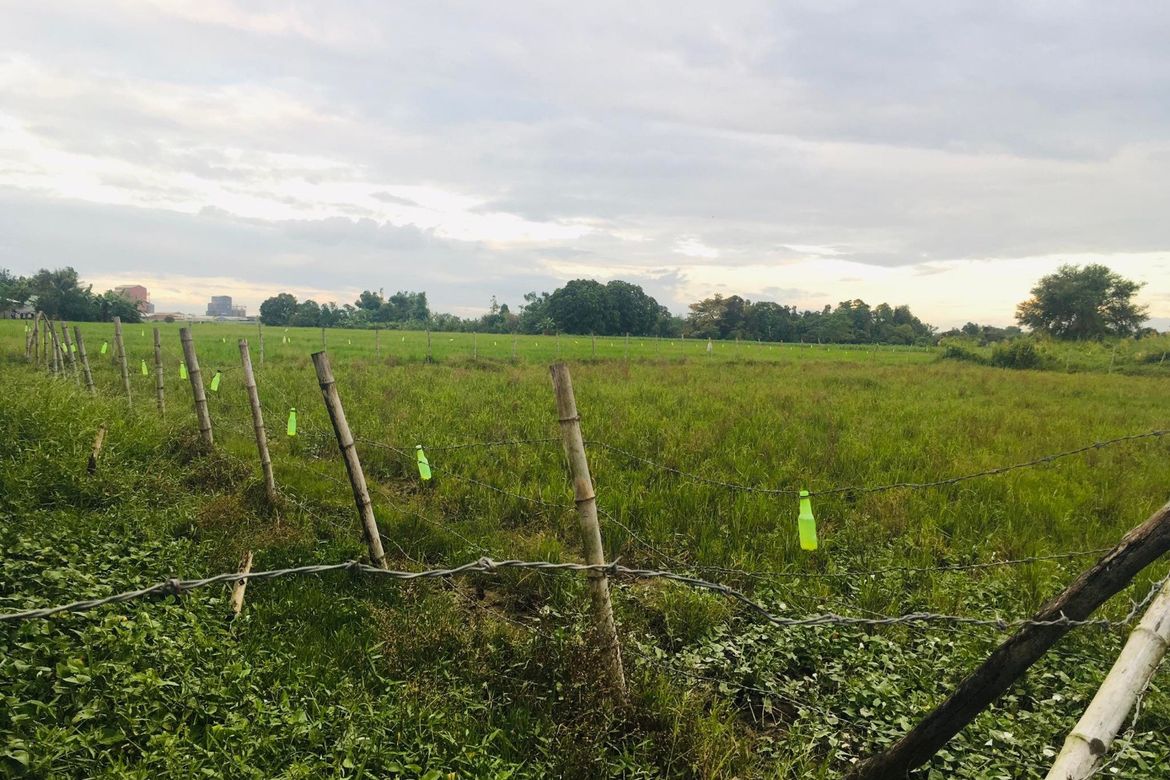 Land for Sale in Anupul, Bamban, Tarlac – photo 4