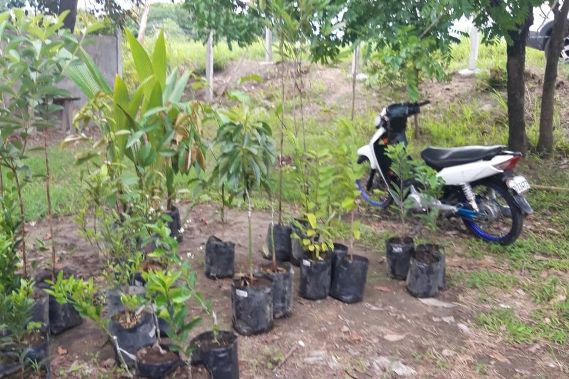 Land for Sale in Anupul, Bamban, Tarlac