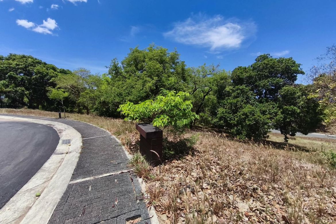 Land for Sale in Anvaya Cove, Mabatang, Abucay, Bataan – photo 4