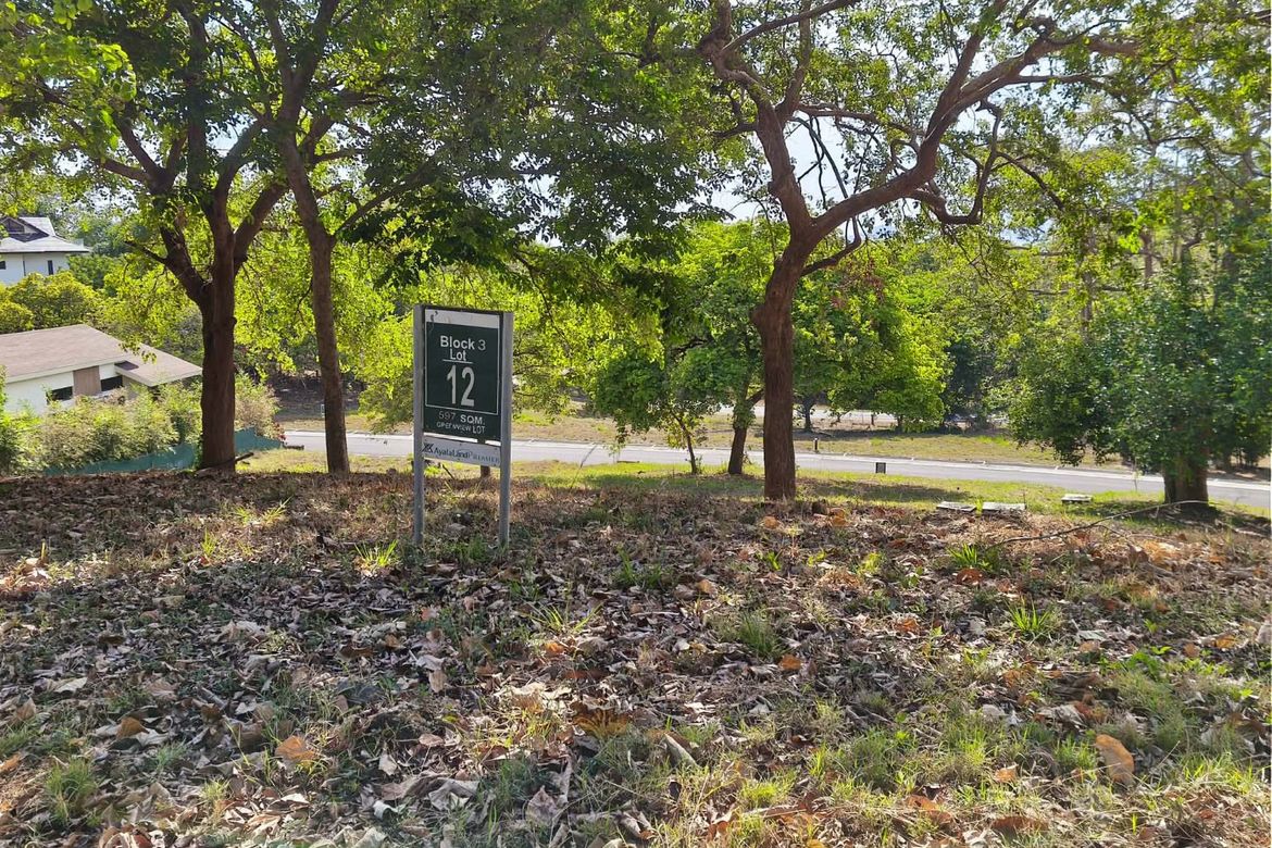 Land for Sale in Anvaya Cove, Mabatang, Abucay, Bataan – photo 2