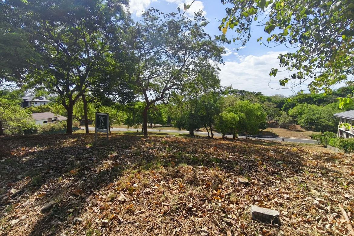 Land for Sale in Anvaya Cove, Mabatang, Abucay, Bataan – photo 4